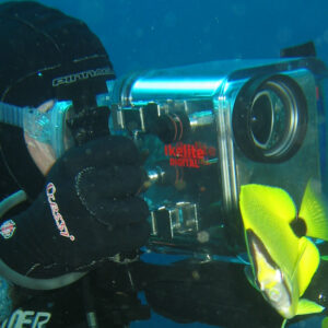 Underwater Photography and Videography Course