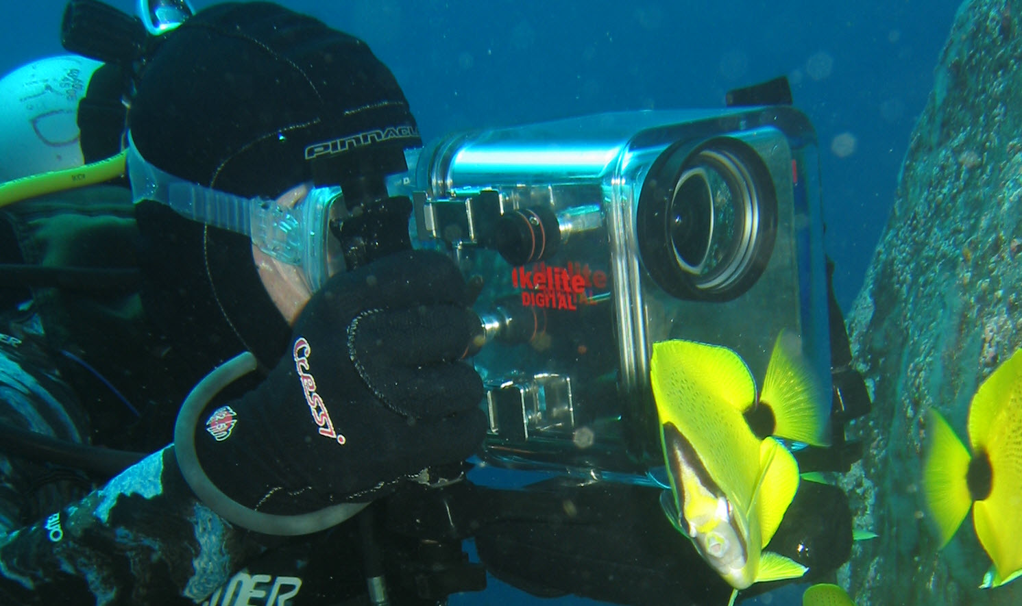 Underwater Photography and Videography Course Manta Ray Advocates Hawaii