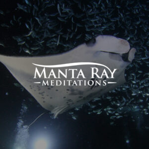 Manta Ray Meditations