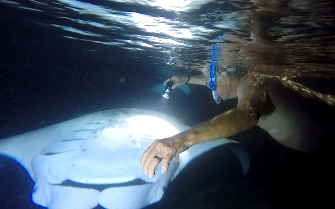 Swimming with Manta Rays – COVID-19 Precautions