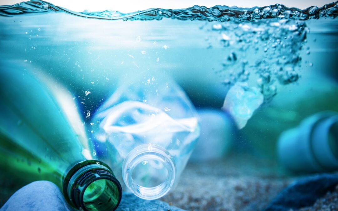 Reduce Ocean Pollution: 10 Ways to Use Less Plastic