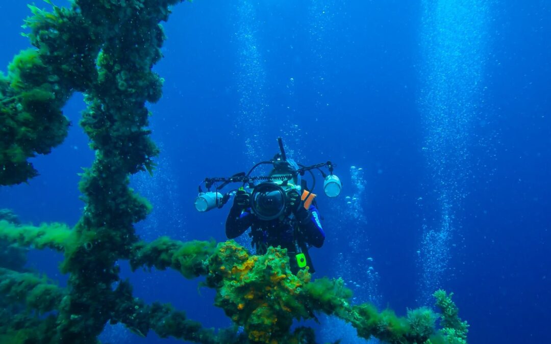 The Complete Guide to Underwater Camera and Photography Equipment