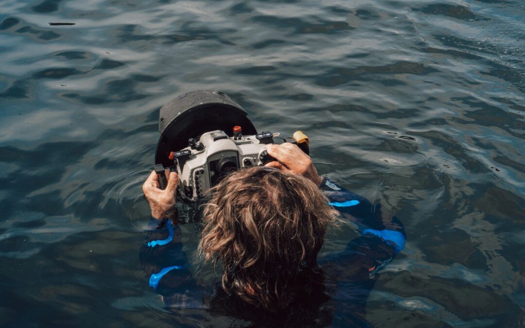 3 Reasons why Underwater Video is Better than Underwater Photography