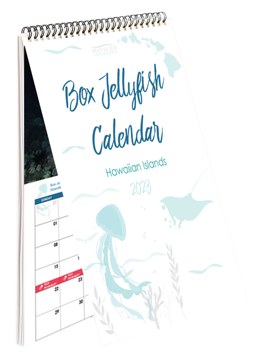 Box Jellyfish Calendar 2023 Digital Edition - Manta Ray Advocates Hawaii