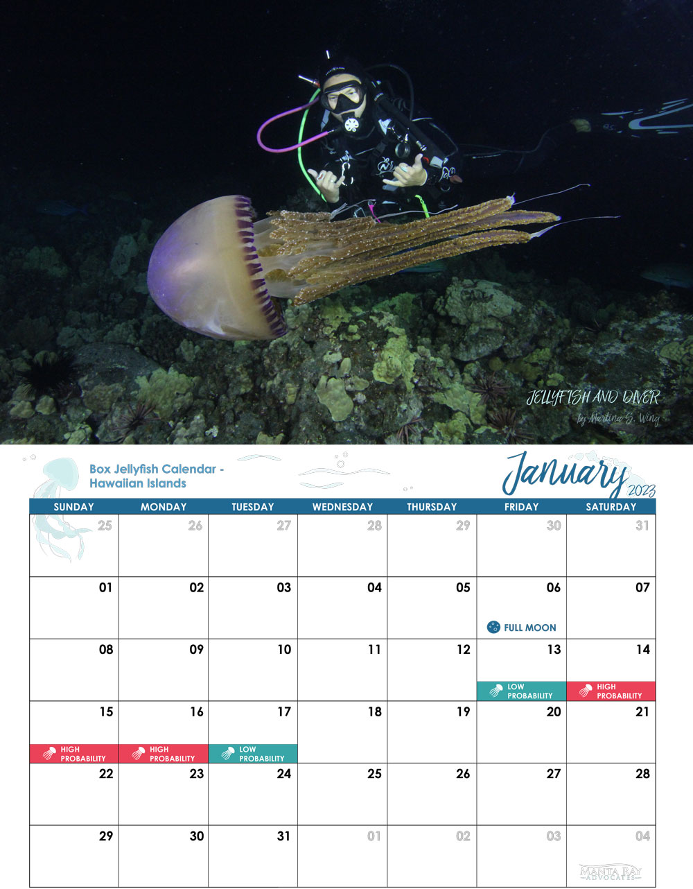 Box Jellyfish Wall Calendar - Manta Ray Advocates Hawaii