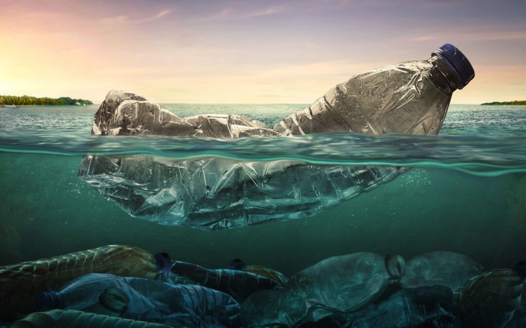 Ocean Cleanup: Inspiring Organizations that Fight Pollution in our Seas