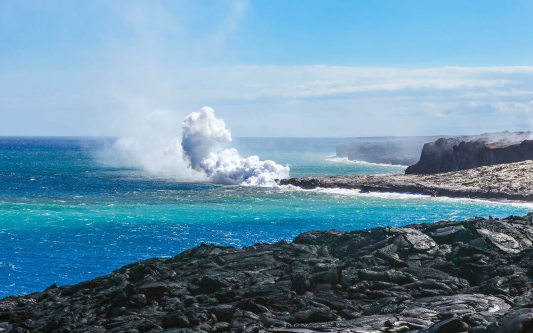 How are manta rays affected by volcanic activity in Hawaii?
