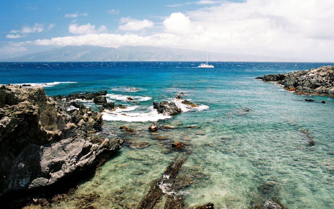 Why there are No Rules or Regulations for Manta Ray Tourism (2024 update)