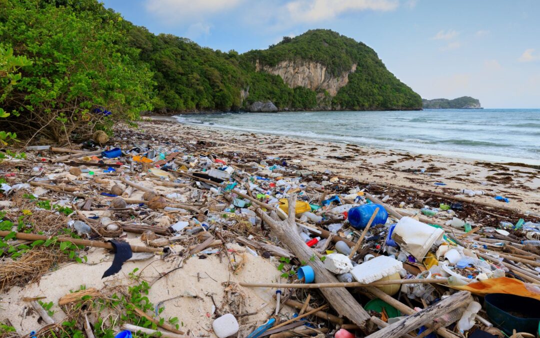 Why Beach and Coastal Cleanup are Essential for Marine Life Preservation