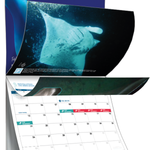 2026 Calendar ‘Manta Rays of Kona’