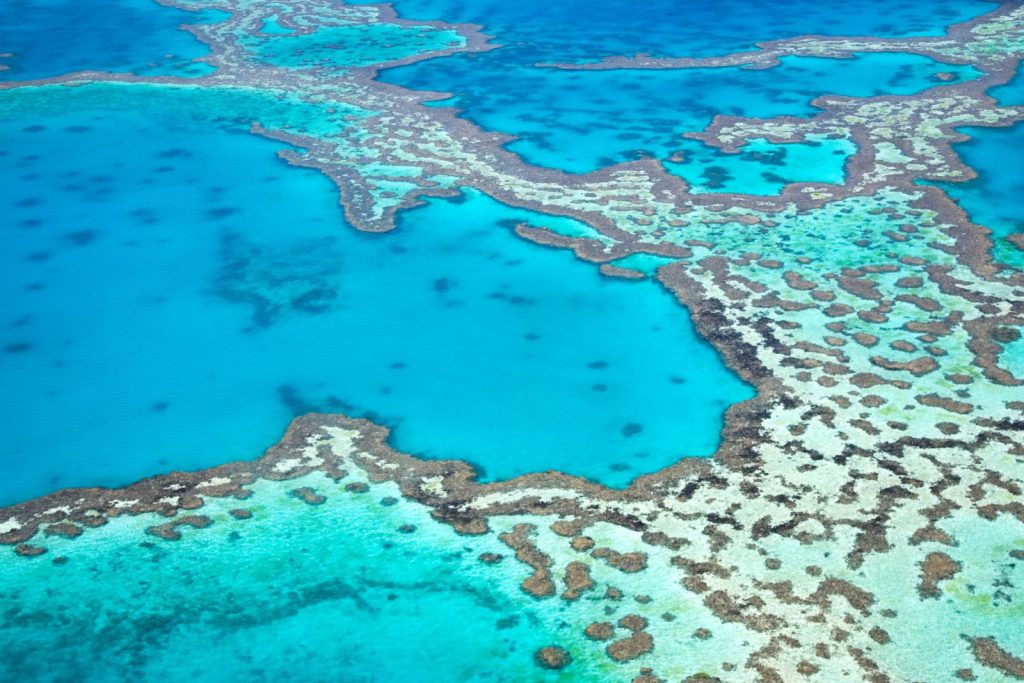 The Great Barrier Reef in Australia