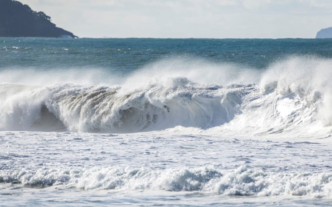 What to expect if you book a moonlight swim during winter