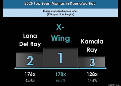 2025 manta ray tour statistics at Kauna’oa Bay